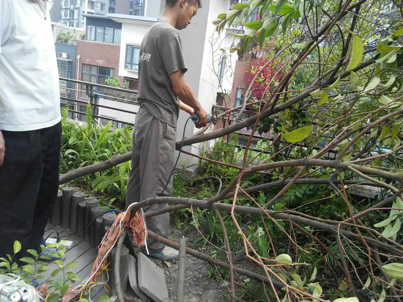 屋頂花園怎么裝修，樓頂花園裝修注意事